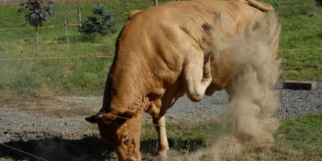 Was tun, wenn es brenzlig wird? Auf dem Lehrpfad in Solothurn finden Wanderer antworten. (Bilder BUL)