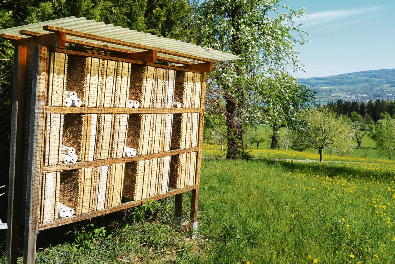 Ohne Bestäubung läuft gar nichts. Wildbienenhotel auf dem Hof von Urs Streuli.