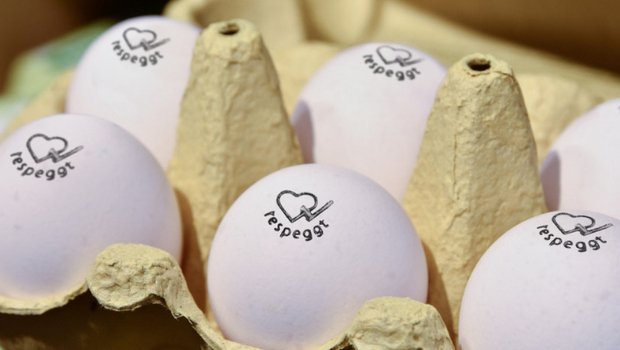 Dank der Zusammenarbeit mit der Verbeek ́s Broederij erhofft sich Respeggt mehr Sichtbarkeit für seine Eier mit Herzsiegel in deutschen und niederländischen Supermärkten. (Bild Respeggt)