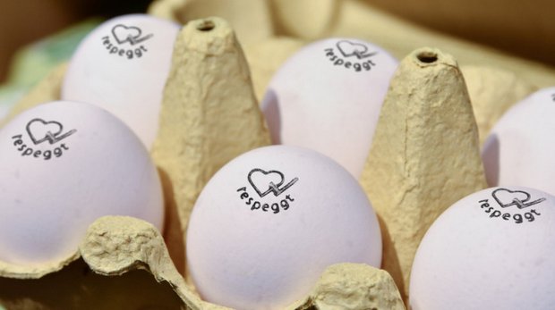 Dank der Zusammenarbeit mit der Verbeek ́s Broederij erhofft sich Respeggt mehr Sichtbarkeit für seine Eier mit Herzsiegel in deutschen und niederländischen Supermärkten. (Bild Respeggt)