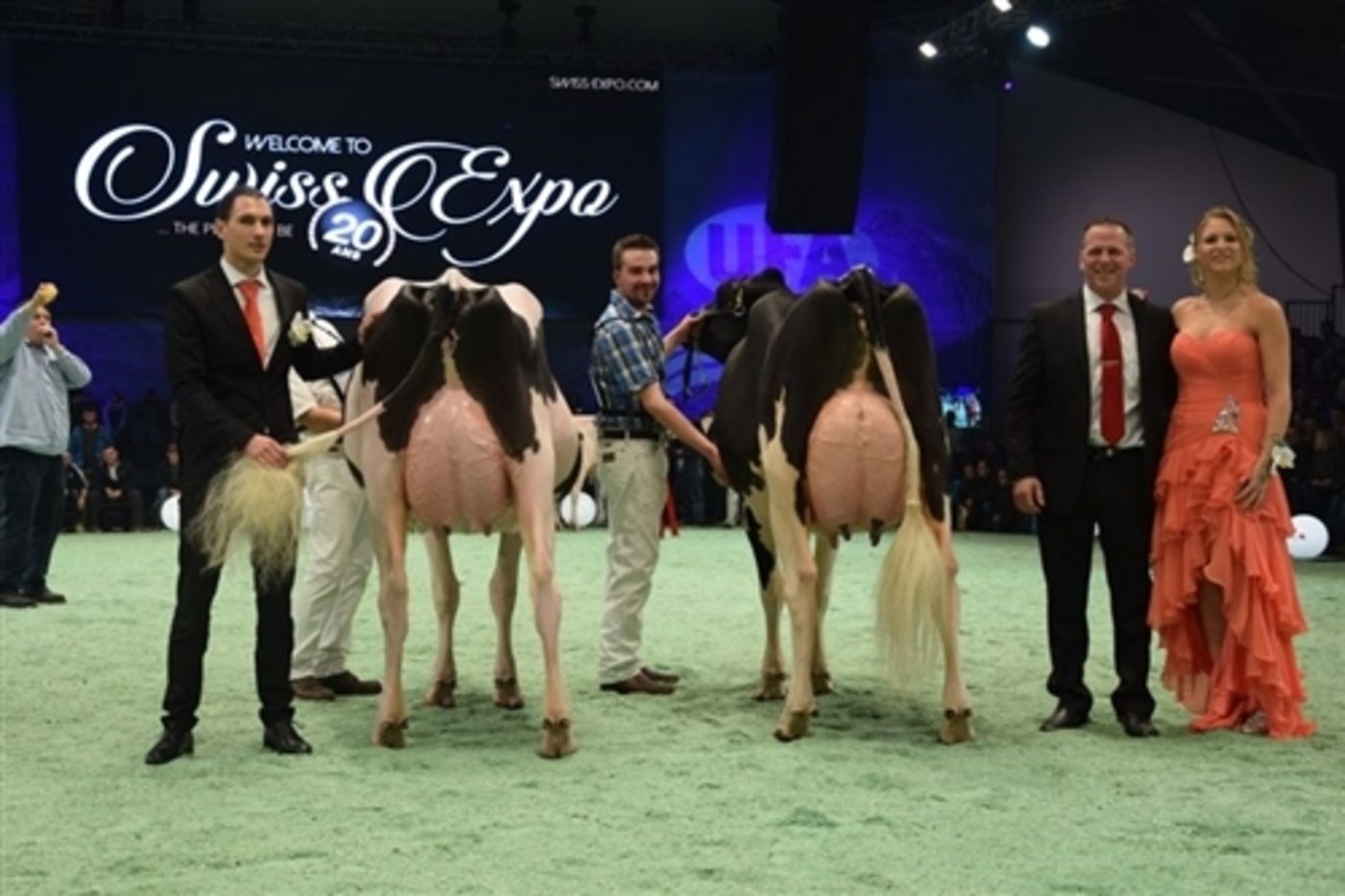 Intermediate Schöneuter (links): Du Bon Vent  Brawler Inkapi, All Beltramino / Bag2 / Al.be.ro / Bach / Sarreri (Italien).  Reserve Intermediate Schöneuter (rechts): Mox Shottle Domenica, Christian Berger / C. Luginbühl, Aeschi bei Spiez.