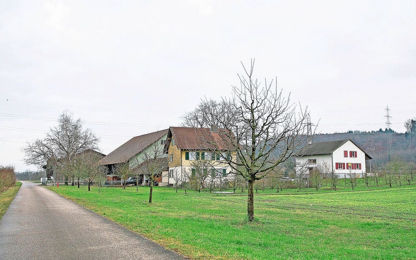 Einer der beiden Pachtbetriebe von Familie Regenass ist der Hardhof, dieser liegt zwischen Kaiseraugst und Rheinfelden.