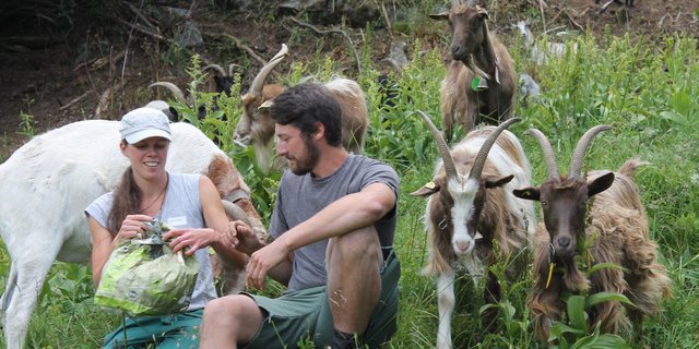 Christian Brunold und Antonia Studer sind gelernte Landwirte und betreuen die 200-köpfige Ziegenherde. (Bild Reto Betschart)