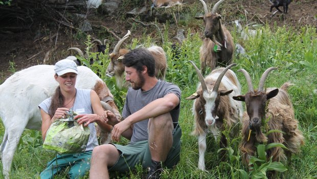 Christian Brunold und Antonia Studer sind gelernte Landwirte und betreuen die 200-köpfige Ziegenherde. (Bild Reto Betschart)