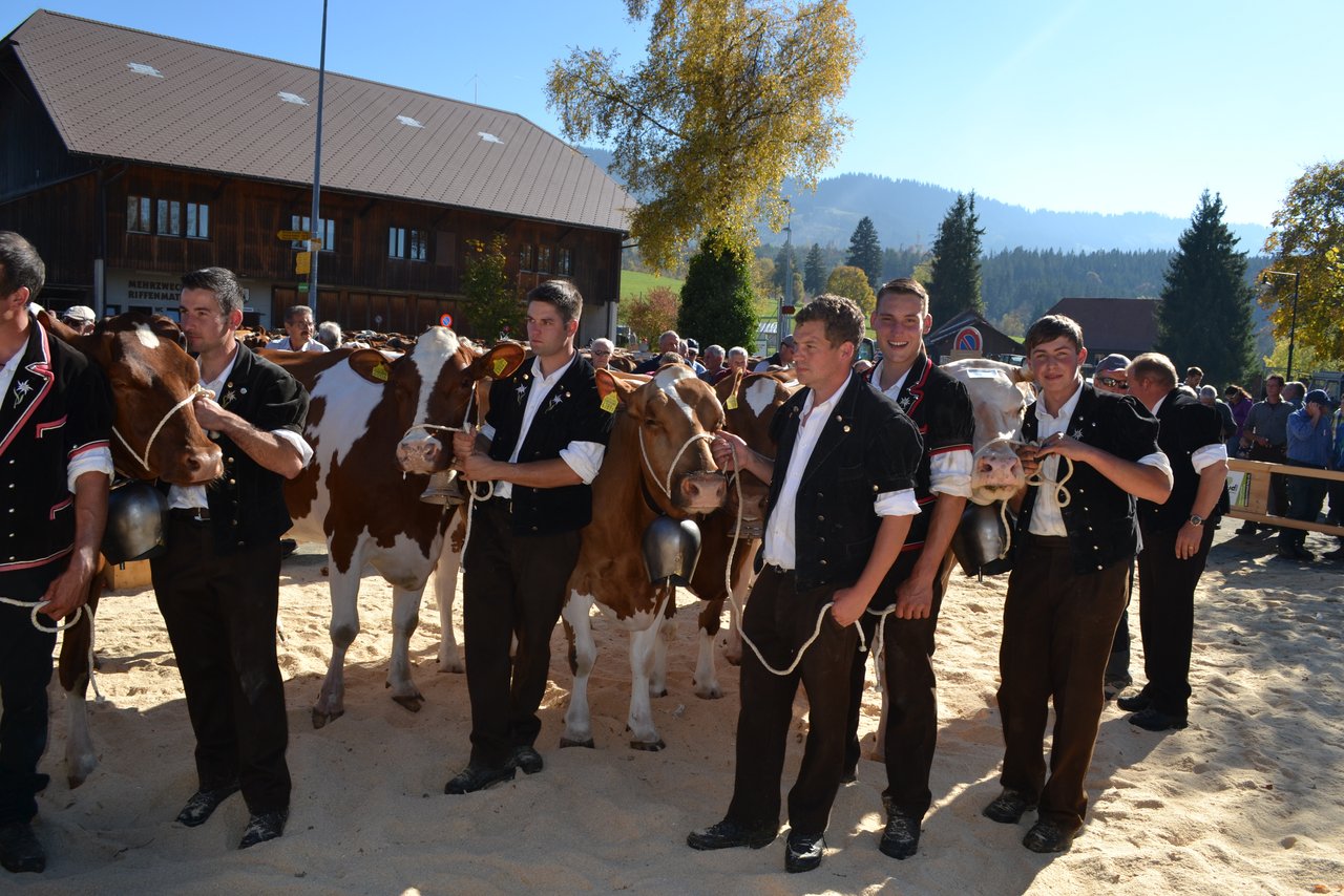 Die Kühe der Swiss Fleckviehrasse mit ihren stolzen Vorführern. (Bilder Peter Fankhauser)
