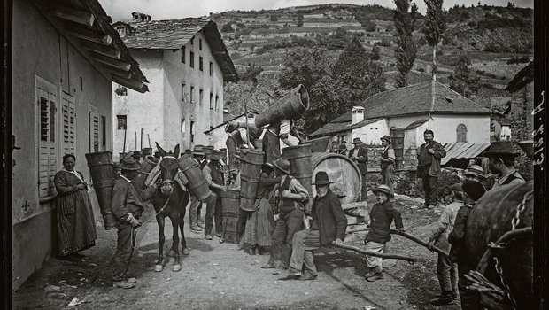 Frauen und Männer tragen eine Brente, Maultiere deren zwei bei der Weinlese 1905 in Saint-Léonard VS. In vielen Berggebieten waren Maultiere bis in die 1950/60er-Jahre unentbehrlich für den Transport vom Tal in höhere Lagen.