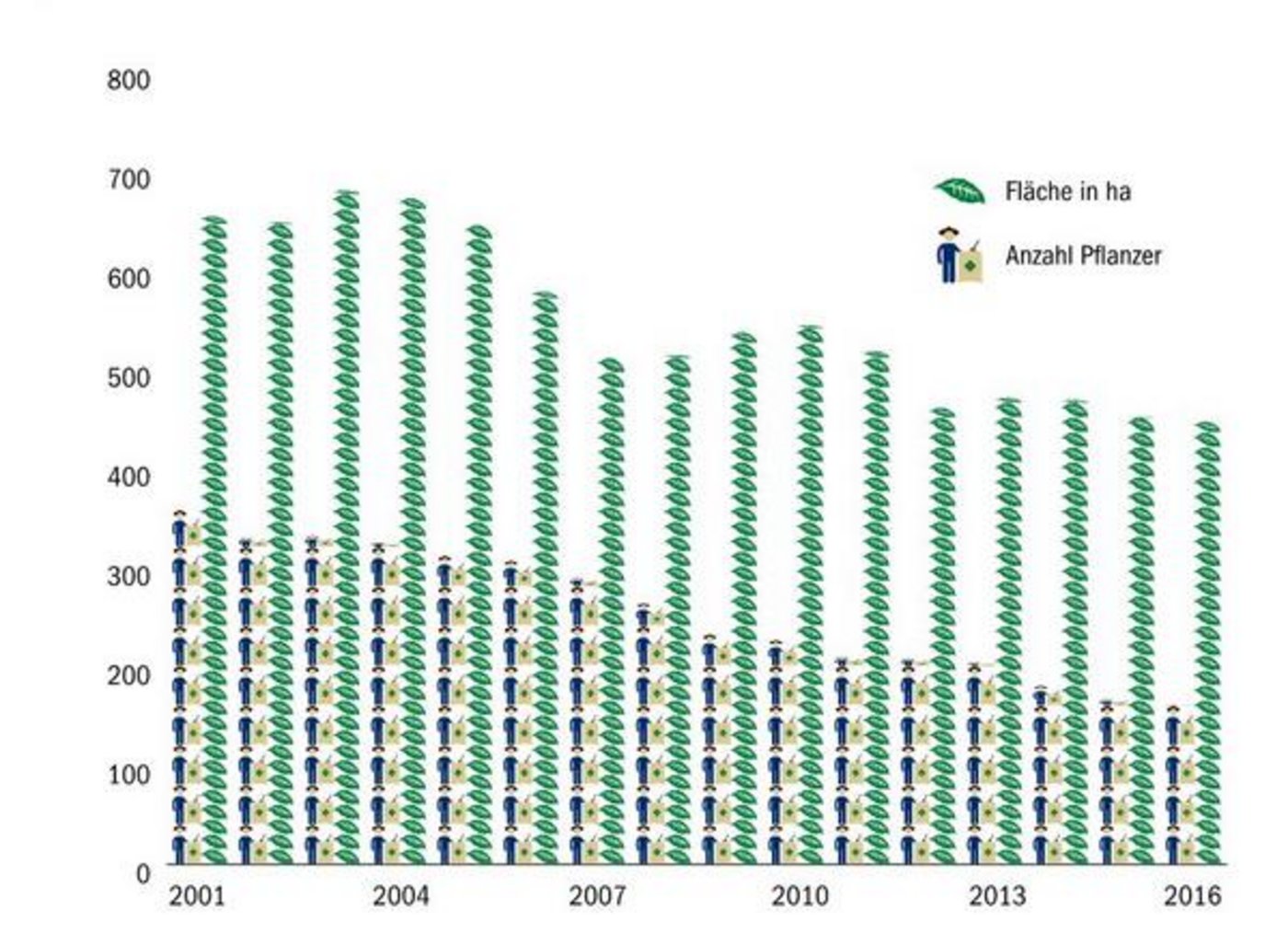 Die Anzahl Tabakpflanzer und bepflanzter Fläche sind rückläufig. (Daten Swiss Tabac/Agristat/Grafik Thomas Bernard)