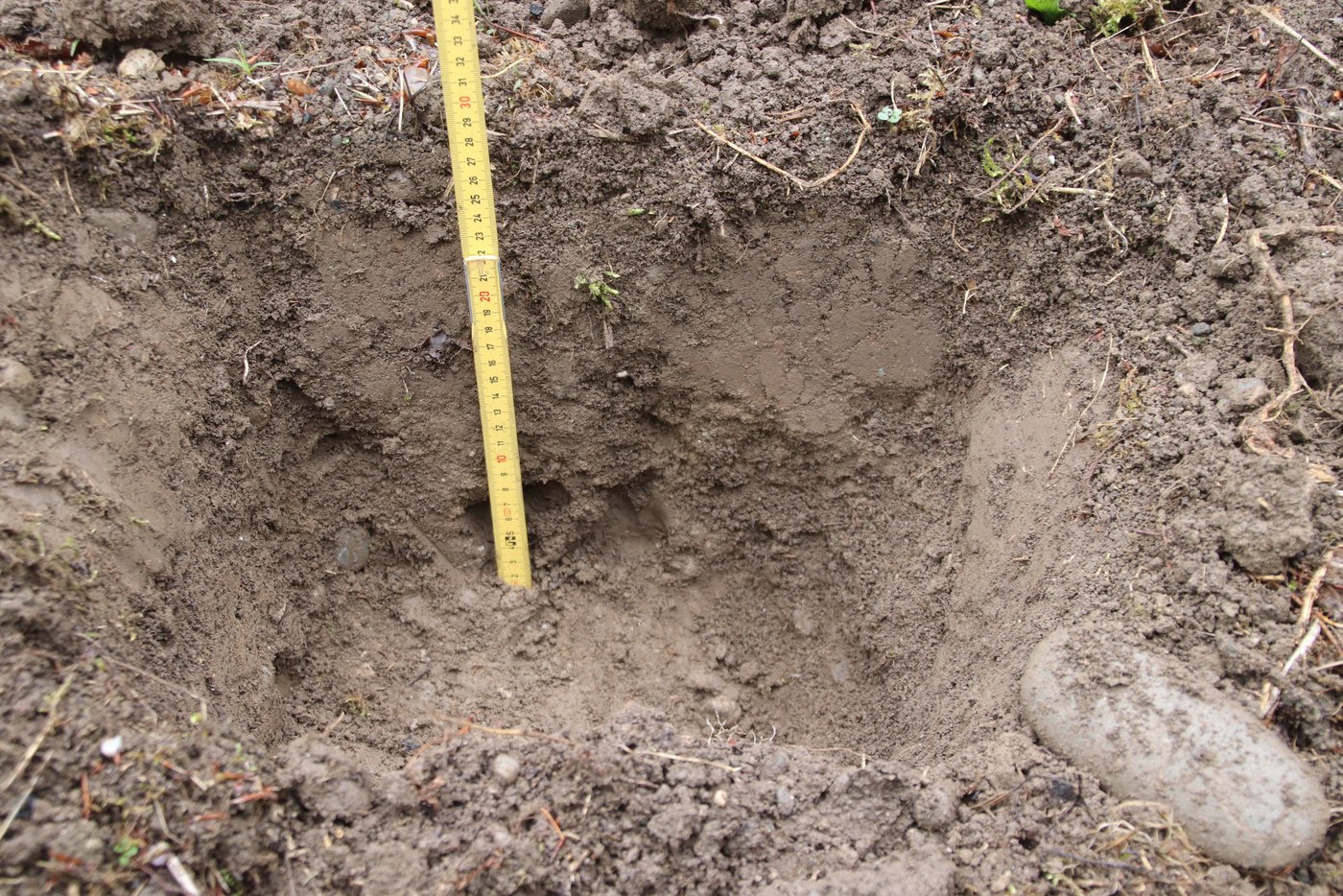 In einem offenen eher leichteren Boden konnten die Niederschläge bis in eine Tiefe von 30 cm einsickern.