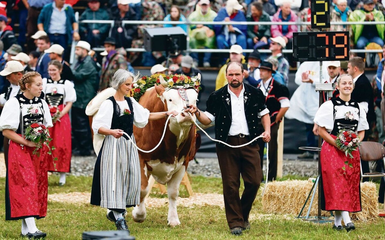 Andrea und Hansueli Aebersold aus Beatenberg BE mit ihrem Stier Araris, dem Siegerpreis am Unspunnen-Fest, beim Einmarsch in die Arena.