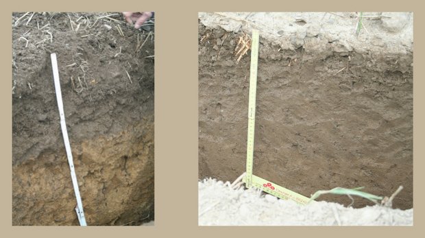 Das linke Profil zeigt einen Boden in Menzingen ZG. Hier konnte dank Bodenpflege mit Kompost der Humusgehalt innert 8 Jahren verdoppelt werden. Seither ist der Humusgehalt der obersten Schicht konstant, weiter unten aber weiter steigend. Rechts der Vergleich mit einem pfluglos und mit mineralischem Dünger und Gülle bearbeiteten Boden in Grossafoltern BE. (Bilder Fredy Abächerli)