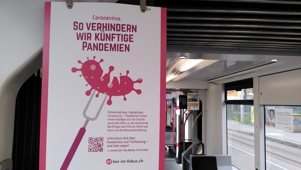 Diese Kartons findet man zurzeit in öffentlichen Verhehrsmitteln in Bern und Zürich. (Bild Tier im Fokus)