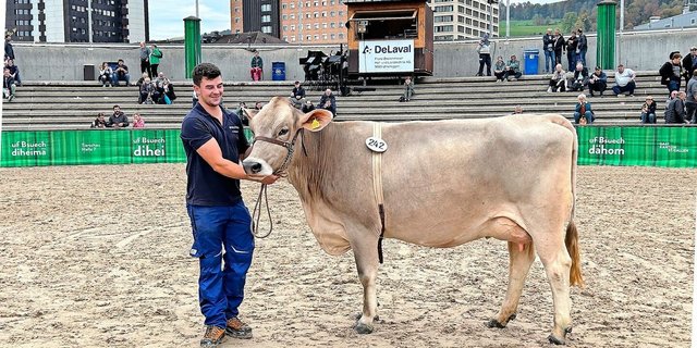 Die Jungkuh Philippa mit einem Tagesgemelk von 35,8 kg von Züchter Markus Dörig aus Haslen AI erzielte bei der Auktion mit Fr. 5000.– den besten Preis.