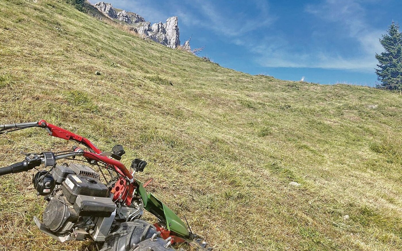 Im steilen Gelände oberhalb der Waldgrenze wird Bergheu eingebracht. 