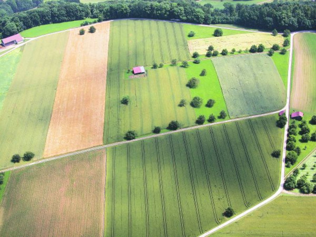 Die Pachtzinsen von landwirtschaftlichen Liegenschaften und Boden können ab diesem Jahr teurer werden. (Symbolbild BauZ)