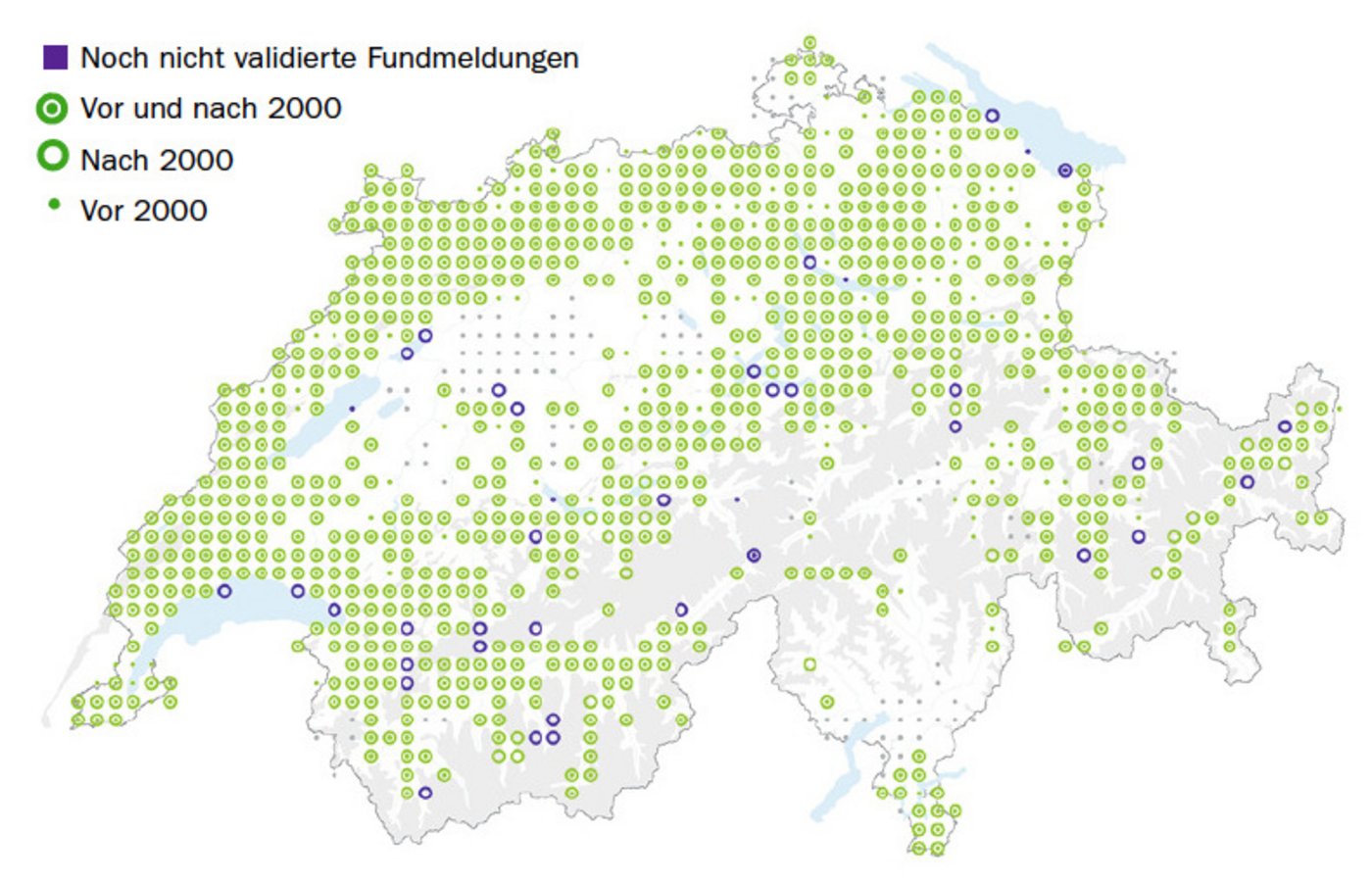 Die Daten aus dem Jahr 2000 sind laut Infoflora-Mitarbeitern die repräsentativsten, um die heutige Verbreitung aufzuzeigen. (Grafik Infoflora)