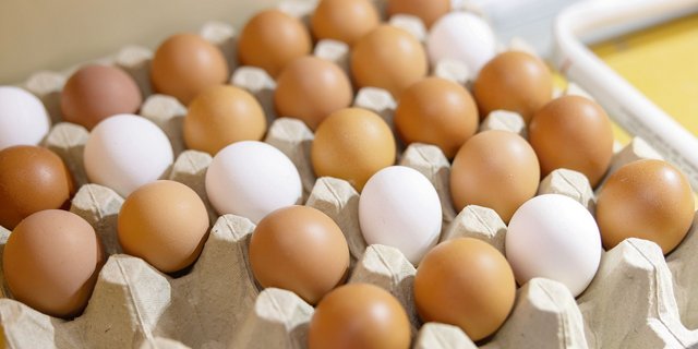 Die Branche verzeichnet einen markant höheren Eierkonsum. In der Branche geht was, aber sie steht bezüglich Futtermittel-Herkunft und Antibiotika-Einsatz auch im Rampenlich.(Bild Gian Vaitl)