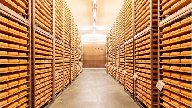 Insgesamt rund 440'000 Laibe Käse kann Emmi in der Käserei in Landquart GR lagern. (Bilder zVg)