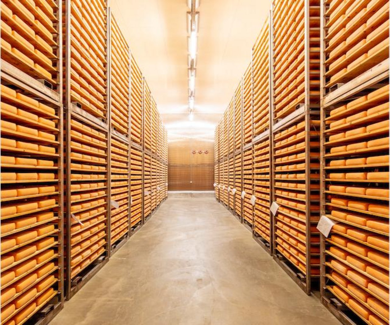 Insgesamt rund 440'000 Laibe Käse kann Emmi in der Käserei in Landquart GR lagern. (Bilder zVg)