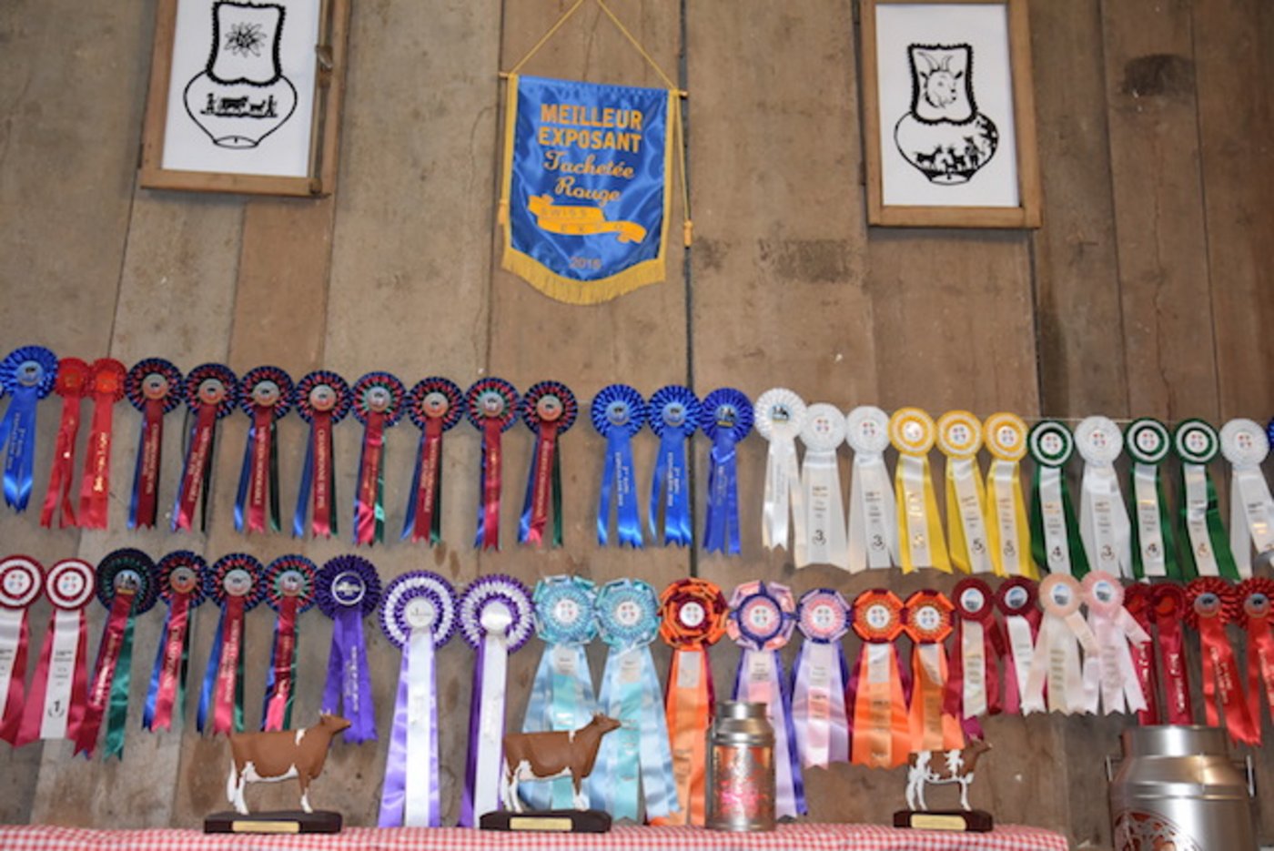 Die vielen Auszeichnungen zeugen von ihrem Züchterfleiss.