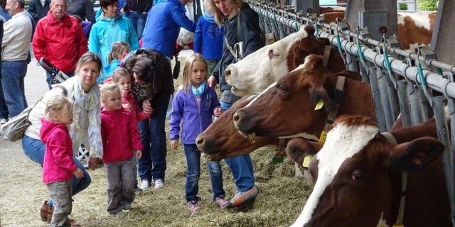 Stadt begegnet Land am Ebenraintag 2015 in Sissach. Ein starker Brückenschlag. (Bilder mr)
