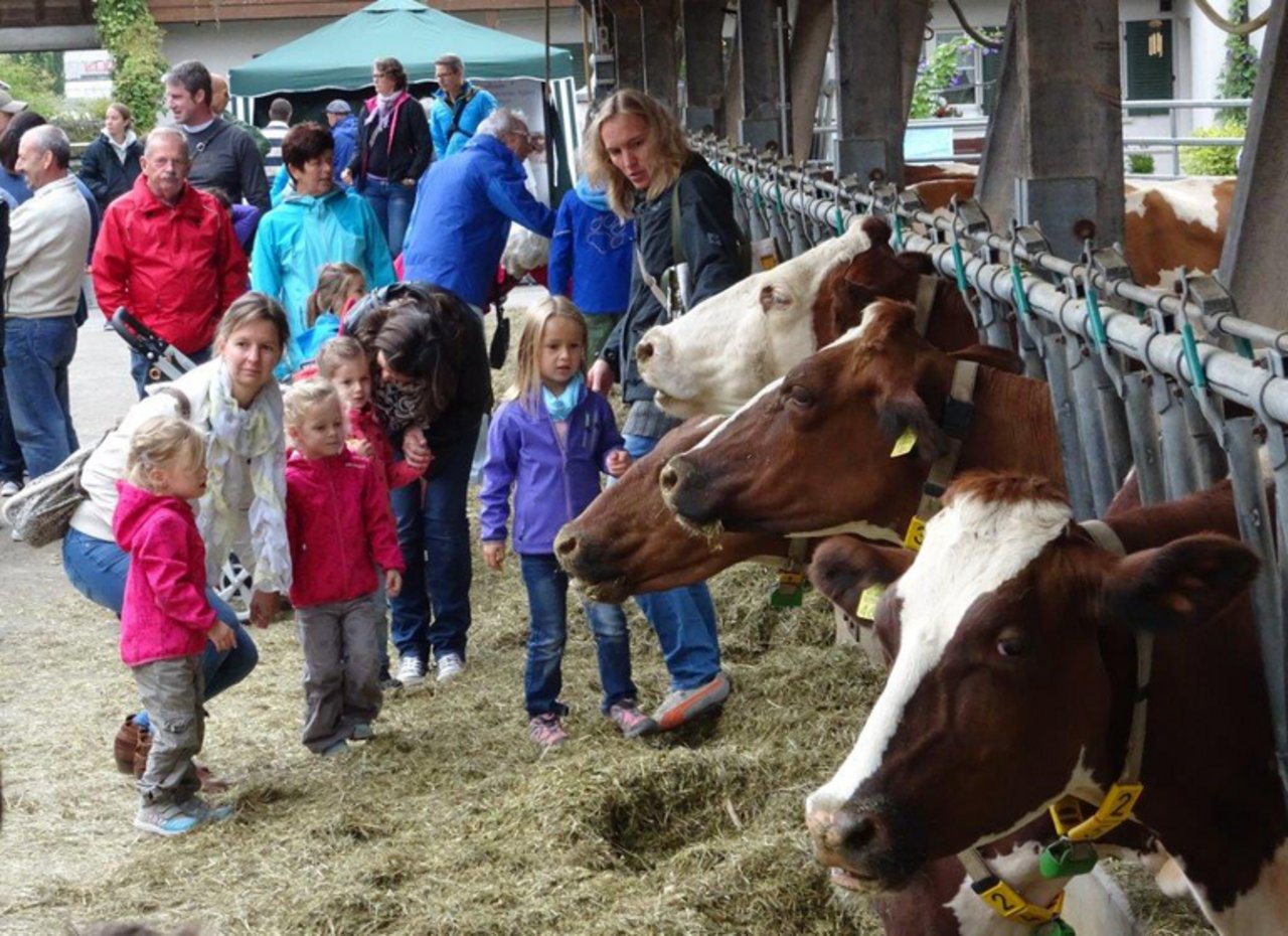 Stadt begegnet Land am Ebenraintag 2015 in Sissach. Ein starker Brückenschlag. (Bilder mr)