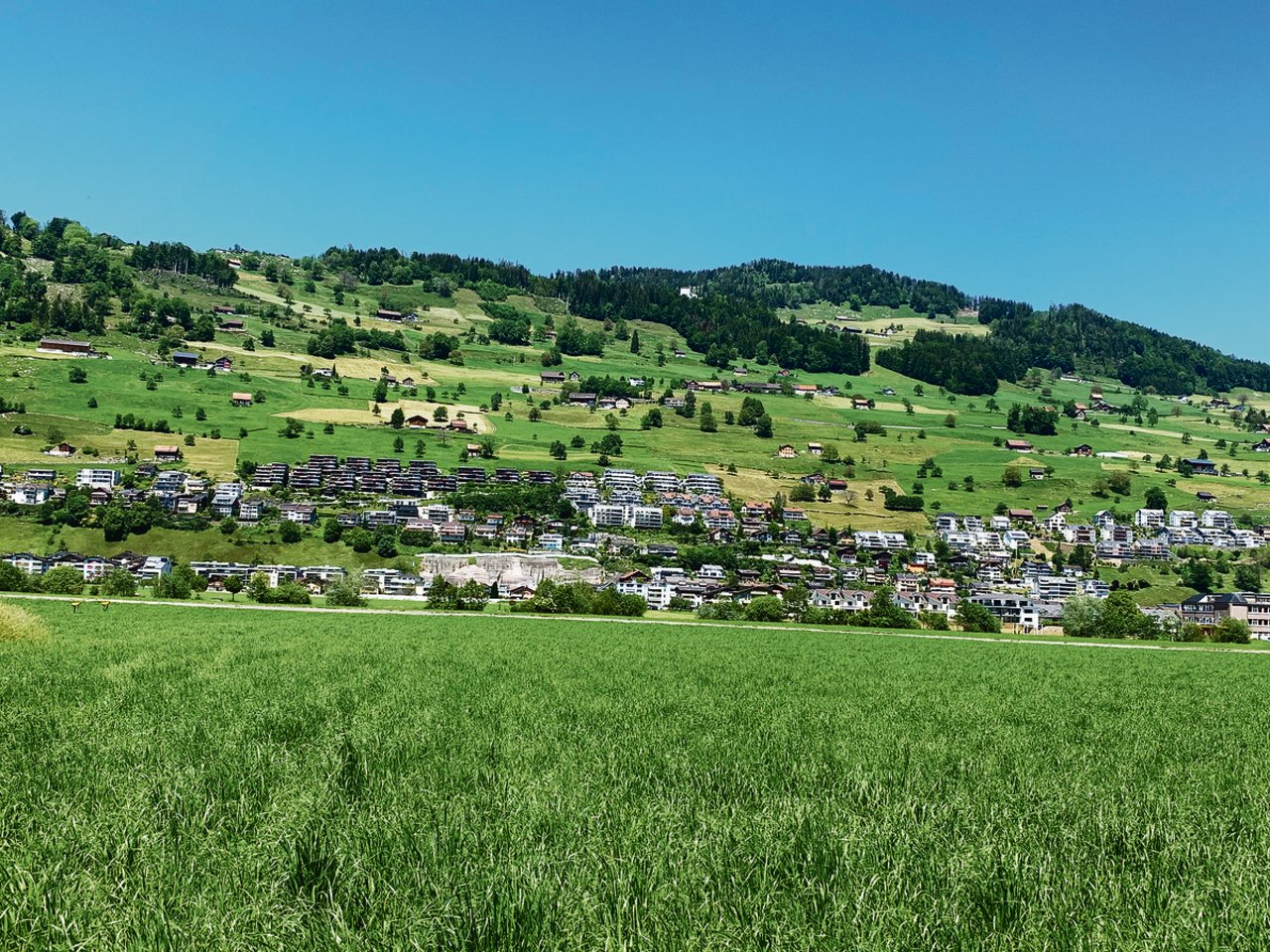 Blick an den unten dicht überbauten Bürgenberg bei Ennetbürgen. Wenn die Bauern oben in der Landwirtschaftszone ihre Scheunen erweitern oder neu bauen wollen, macht der Landschaftsschutzverband vermehrt Einsprachen. (Bild Josef Scherer)