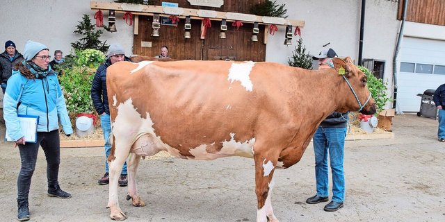 Heinz Baur mit seiner Stammkuh Nina an der Halfter, kritisch begutachtet von Sandra Staub und von Gabriel Scheidegger.