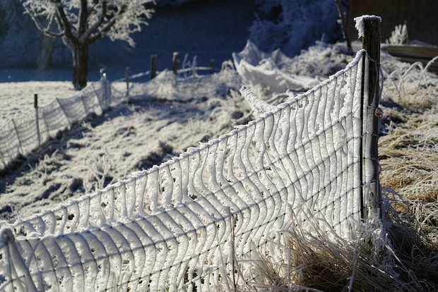In Kanada herrschen Temperaturen bis zu -50°C. (Bild Pixabay)
