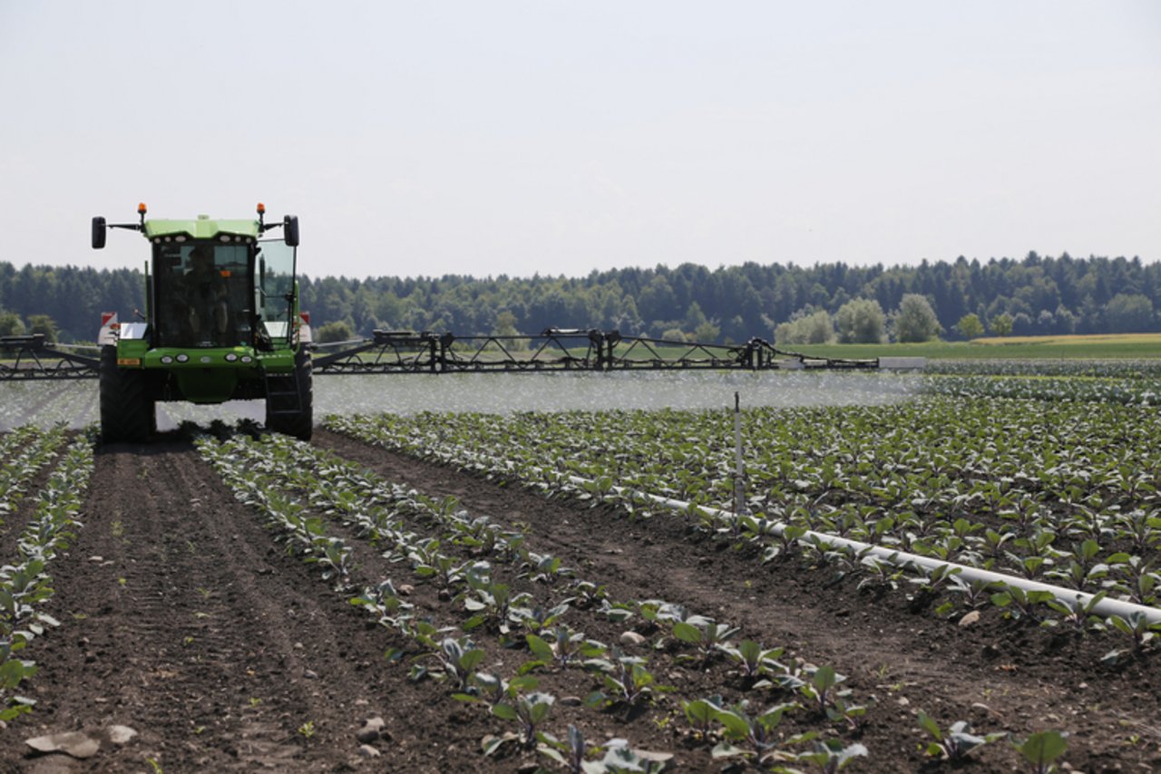 Verschiedene Organisationen befürchten, dass Bundesamt für Landwirtschaft sei bei der Zulassung von Pestiziden befangen. (Bild ji)