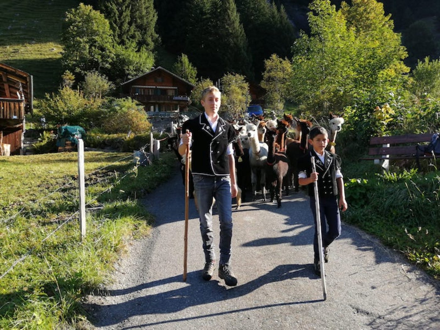 130 Tiere kamen insgesamt ins Tal. 70 folgen Mitte Oktober.