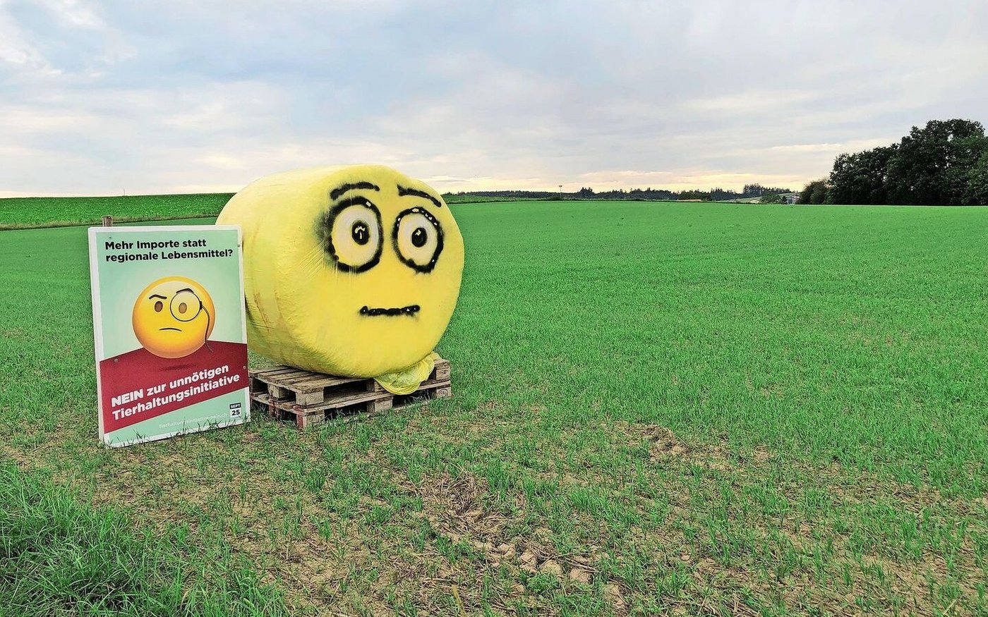 Kann der SBV den Erfolg von 2022 wiederholen?