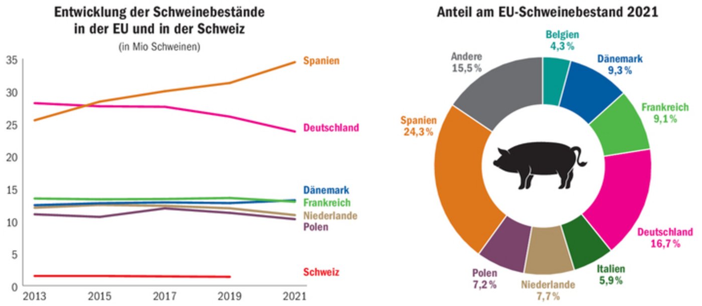 In Deutschland haben der Schweinebestand und die Zahl der schweinehaltenden Betriebe stark abgenommen. Spanien hat sich unterdessen zum mit Abstand grössten Produktionsland in der EU entwickelt.
