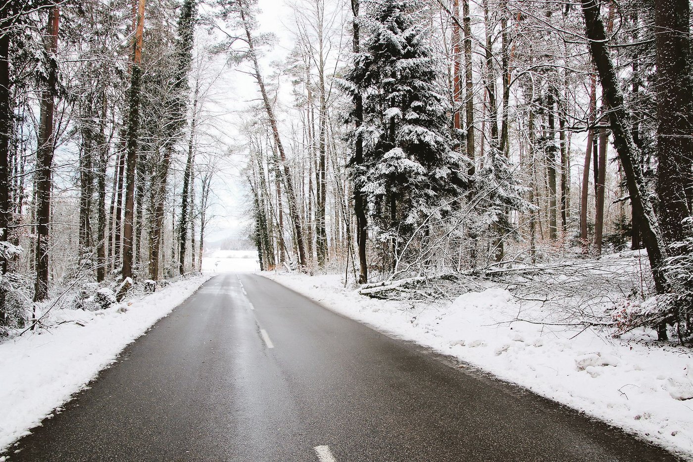 Das Bild aus dem Zürcher Weinland entstand einige Tage nach den starken Schneefällen und zeigt, dass die Schäden im Wald beträchtlich waren.(Bild Roland Müller)ü)
