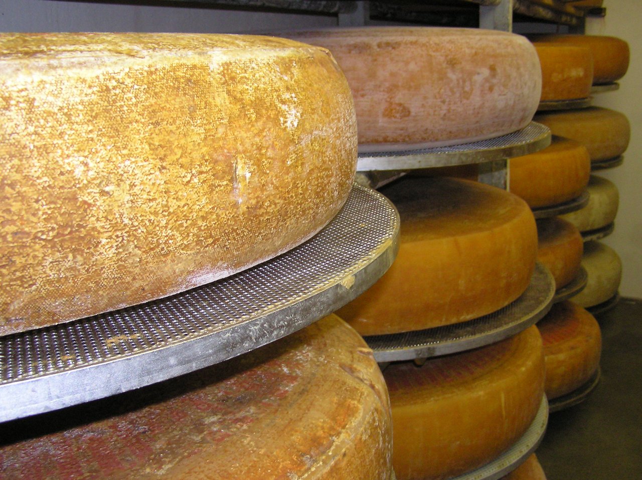 17 Tonnen Käse unbrauchbar - bauernzeitung.ch | BauernZeitung