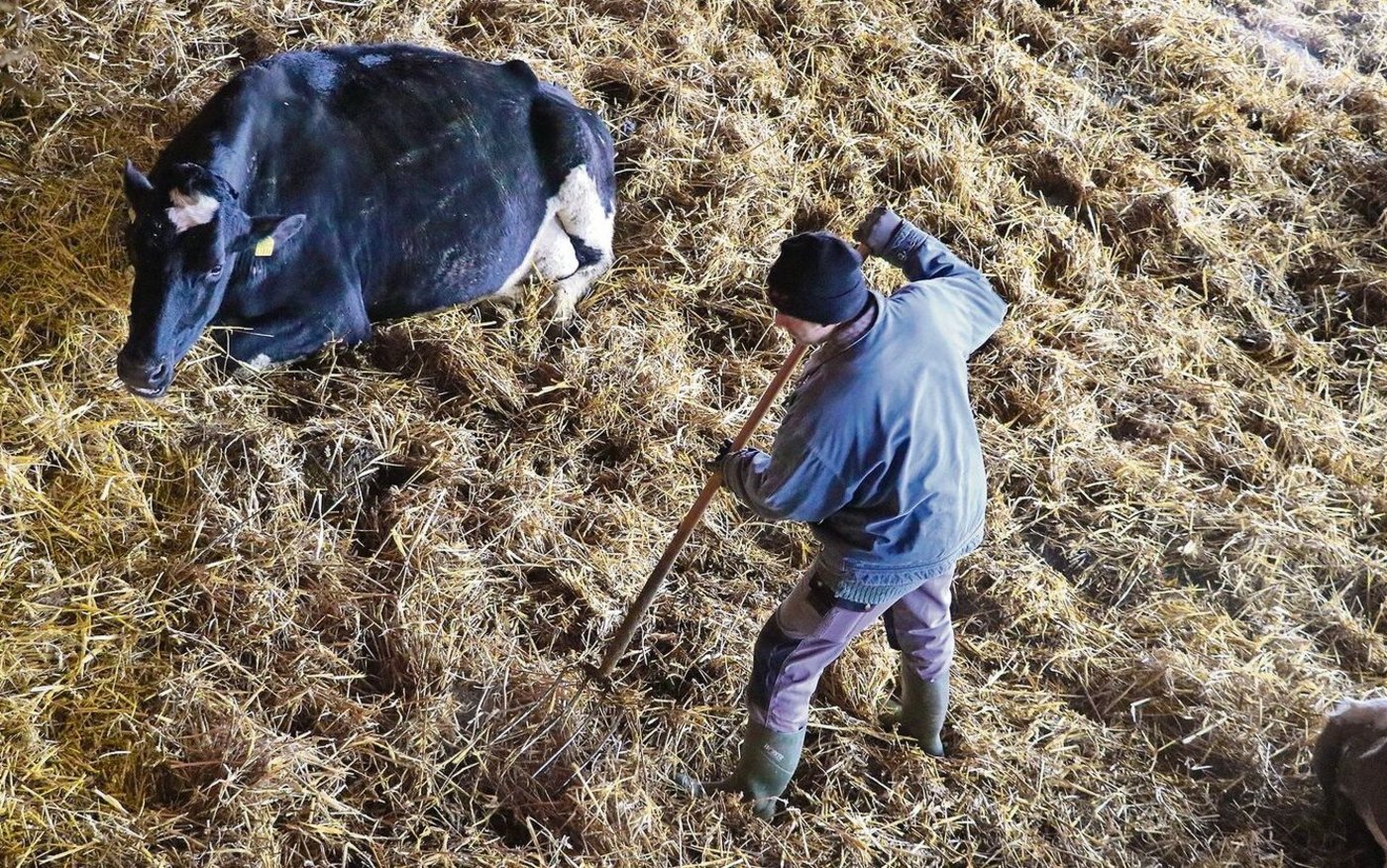 Diese Arbeit muss gemacht sein. Aber zwischendurch sollte der Chef die Gabel aus der Hand legen und über organisatorische Optimierung nachdenken.