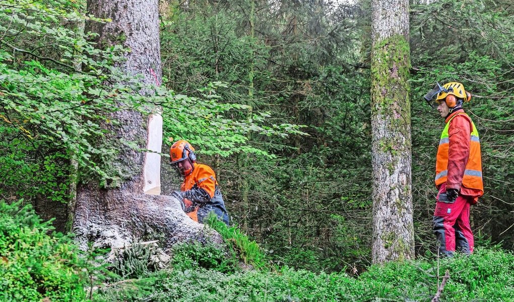 Die Berufsunfallzahlen sind zwar nicht gestiegen, aber ein positiver Trend ist noch nicht sichtbar, so die BUL.