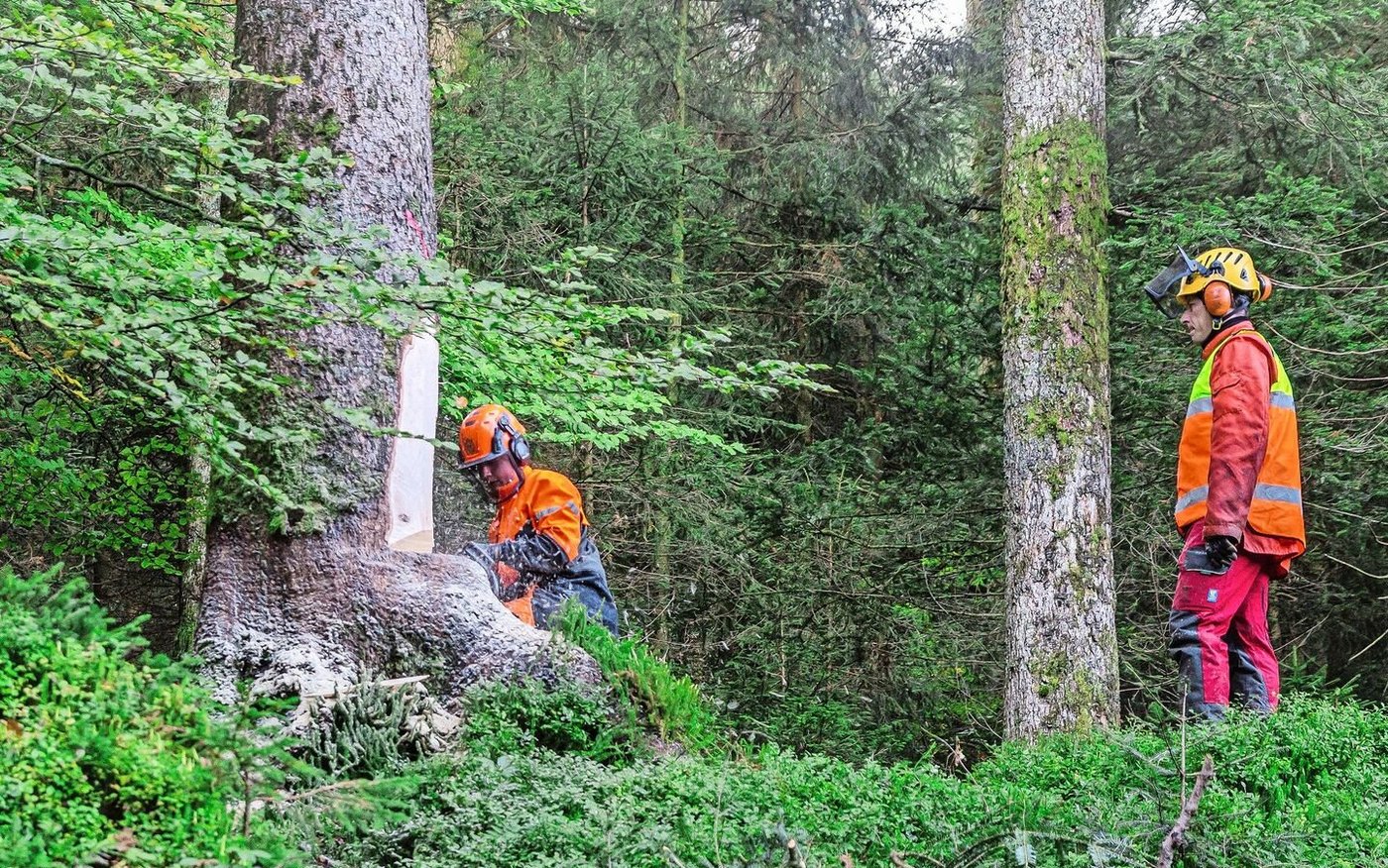 Die Berufsunfallzahlen sind zwar nicht gestiegen, aber ein positiver Trend ist noch nicht sichtbar, so die BUL.