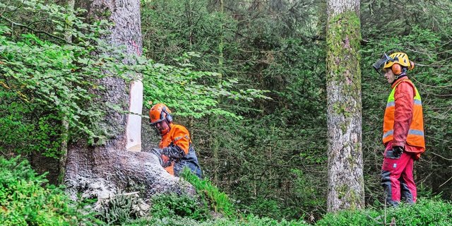 Die Berufsunfallzahlen sind zwar nicht gestiegen, aber ein positiver Trend ist noch nicht sichtbar, so die BUL.