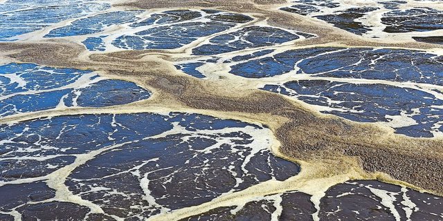 Klärschlamm, der vor vielen Jahren auf Feldern ausgebracht wurde, führt zur Belastung mit den Ewigkeitschemikalien PFAS. 