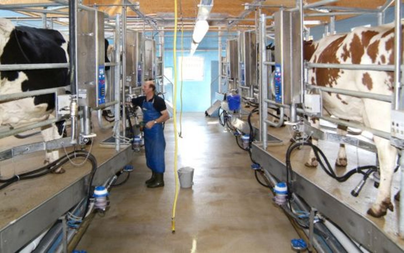 Kuhtoiletten, eingedickte Milch, optimale Stallbauten: Das Programm der Melktechniktagung ist bunt. (Bild Agroscope) 