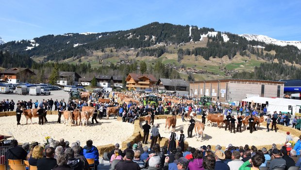 Der eindrückliche Schauplatz in der Lenk BE.