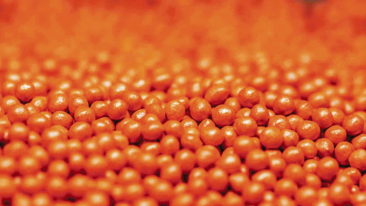 Im konventionellen Anbau (Pillen Orange) wird das Saatgut nach wie vor gebeizt. Seit 2019 nicht mehr mit dem verbotenen und teuren Gaucho, sondern mit dem günstigeren Insektizid Force. (Bild KWS)