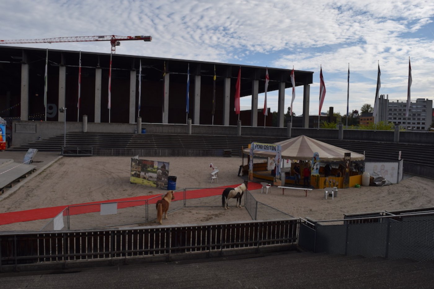 Sinnbildlich für die diesjährige Mini-Olma: Eine menschenleere Arena. (Bilder Stefanie Giger)