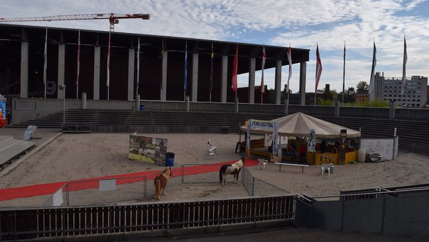 Sinnbildlich für die diesjährige Mini-Olma: Eine menschenleere Arena. (Bilder Stefanie Giger)