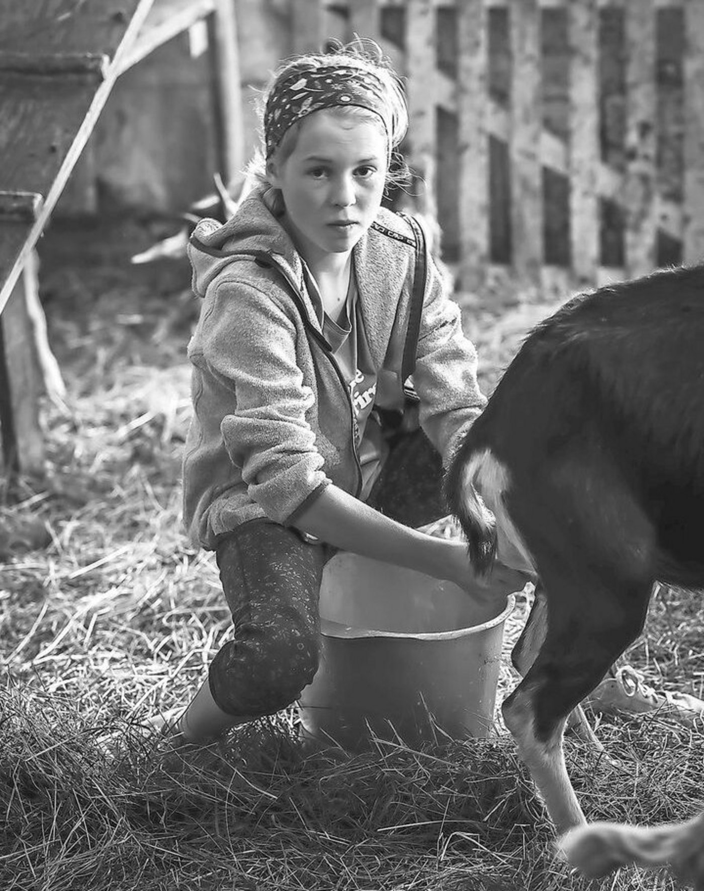 Wie früher: In Lichtenbergers Stall ist vieles Handarbeit.