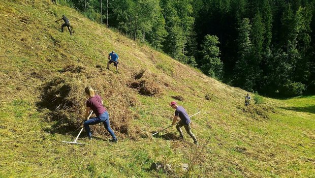 Die Pflege der Grenz Die Pflege der Grenzertragsflächen, wie hier auf dem Brandberg, ist mit viel (Hand)-Arbeit verbunden.