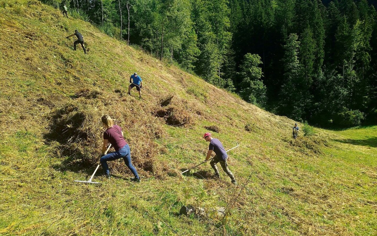 Die Pflege der Grenzertragsflächen, wie hier auf dem Brandberg, ist mit viel (Hand)-Arbeit verbunden.