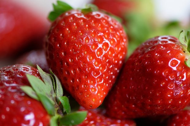 Wieso heissen Erdbeeren eigentlich so? Vielleicht, weil sie im Gegensatz zu z. B. Himbeeren so nah am Boden wachsen. (Bild Pixabay)