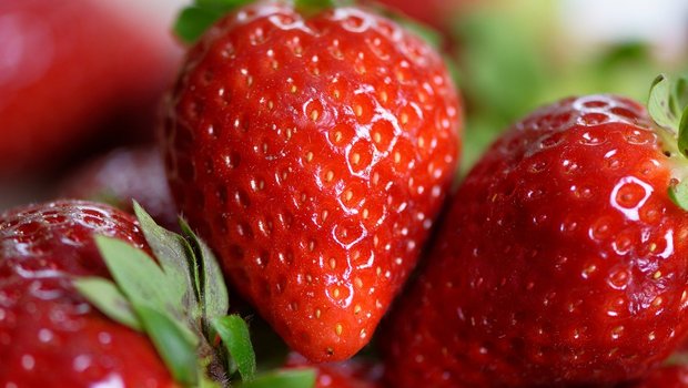 Wieso heissen Erdbeeren eigentlich so? Vielleicht, weil sie im Gegensatz zu z. B. Himbeeren so nah am Boden wachsen. (Bild Pixabay)