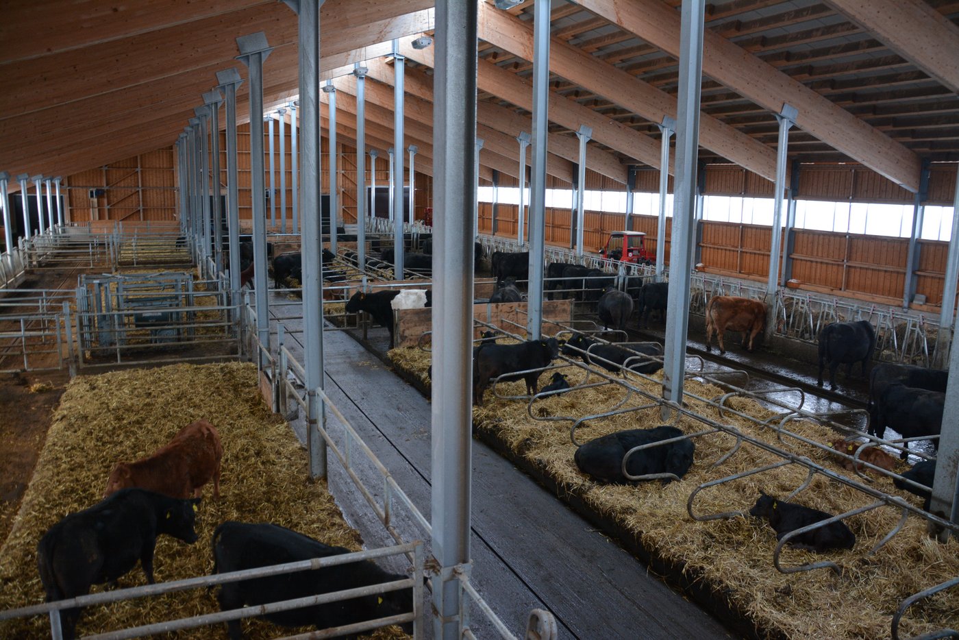 Der Mutterkuhstall der Betriebsgemeinschaft von oben zu sehen.